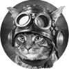 Cat Pilot - Mr Whiskers.