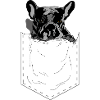 Frenchie Pocket Design Pop Art Stil