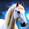 magic white horse