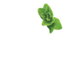 Funny oregano saying