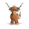 Droll Scottish Highland Cattle