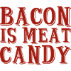 Bacon Is Meat Candy 2