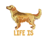 Golden Retriever Life Is Golden