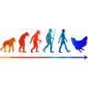 Chicken Evolution