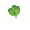 Spinach Whisperer