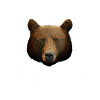 Taxidermie Professioneller Und Sterbender