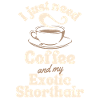 Café Exotic-shorthair lover