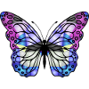 Bunter Schmetterling
