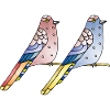 Oiseaux