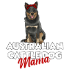 Australian Cattle Dog
