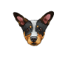 Australian Cattle Dog