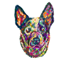 Australian Cattle Dog