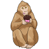 Monkey Muffin