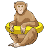 Monkey Swimming Lifebuoy