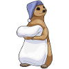 Meerkat Sleeping Blanket