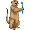 Meerkat Dentist Toothbrush