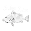 Fischers Fritze Sonderedition
