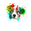 Hundeliebhaber - Hundebesitzer
