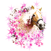 Cheval,Haflinger, Graffiti, Peinture,Chevaux,Étoiles