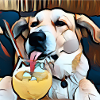 Labrador drinking a cocktail