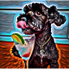 Poodle drinking a cocktail