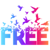 Birds free