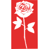 Rote Rose