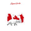 Kanada - Eisbär - Kanada Flagge