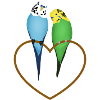 Budgerigar Pair Heart
