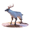 Low Poly Reindeer
