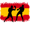 Boxing Spain Martial Arts Boxer