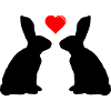 Amour des lapins