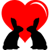 Amour des lapins