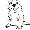 Ratten schönheit