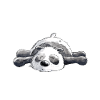 Träumender Panda Bär