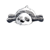 Dreaming Panda Bear