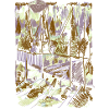 Forest Abstract