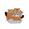 Team Beaver