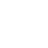 American chimney sweep