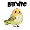 Oiseau mignon