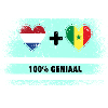 Senegal og Nederland 100 % genialt flagg