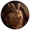 Hare seeks shelter