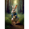 the rabbit II