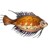 Fische