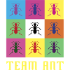 L'équipe Ant