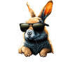 Cool Rabbit - Happy Easter