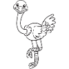 Ostrich, ostrich, gift, gift idea