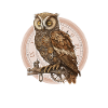 Steampunk Owl Style Comic