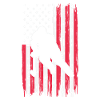 Hockey and Flag