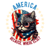 American Patriotic USA Design